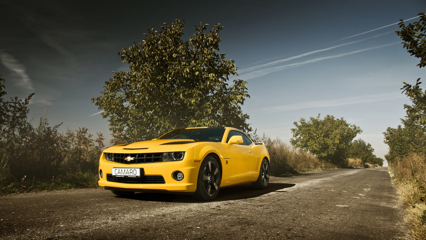 , , camaro, chevrolet, , muscle car