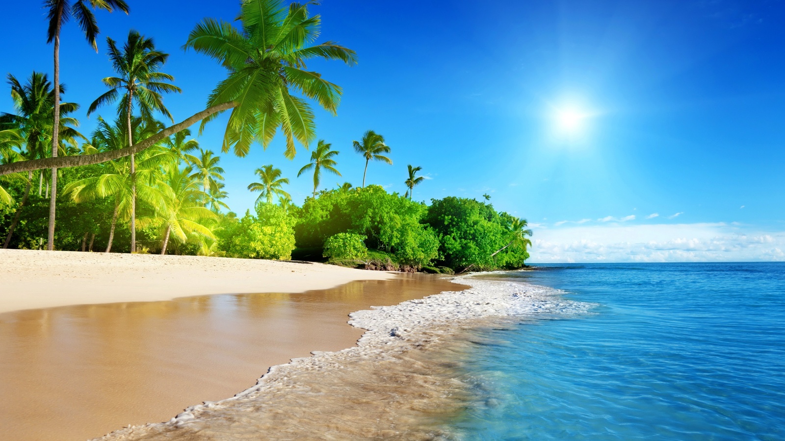 tropical, paradise, sunshine, beach, coast, sky, ocean, palm, summer, , , , , , 