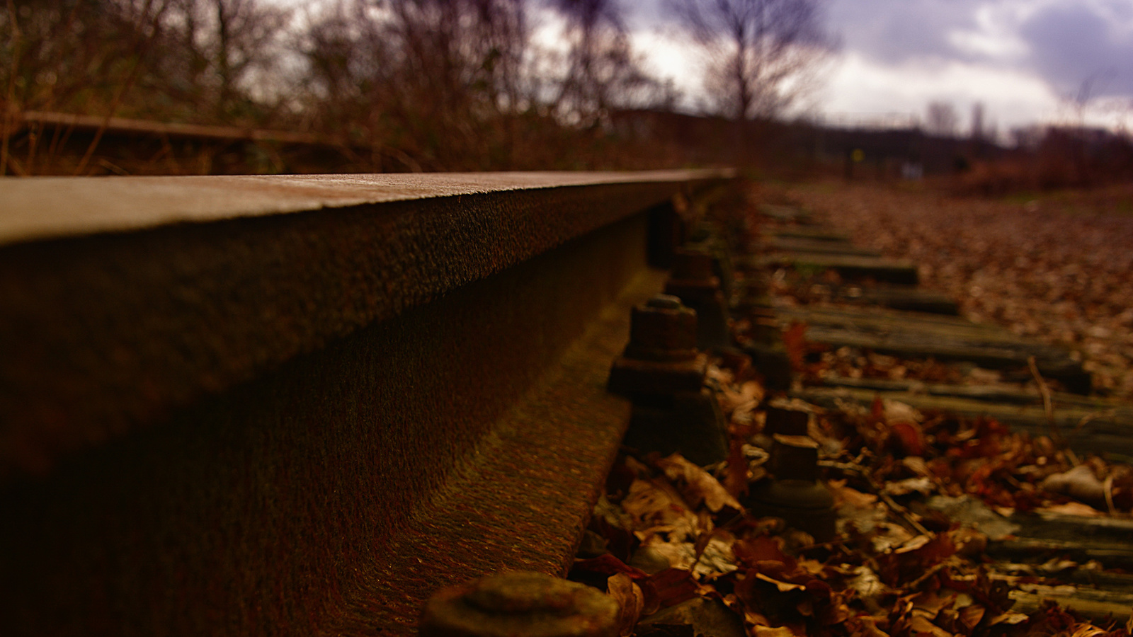 autumn, metal, railroad tracks, oxide