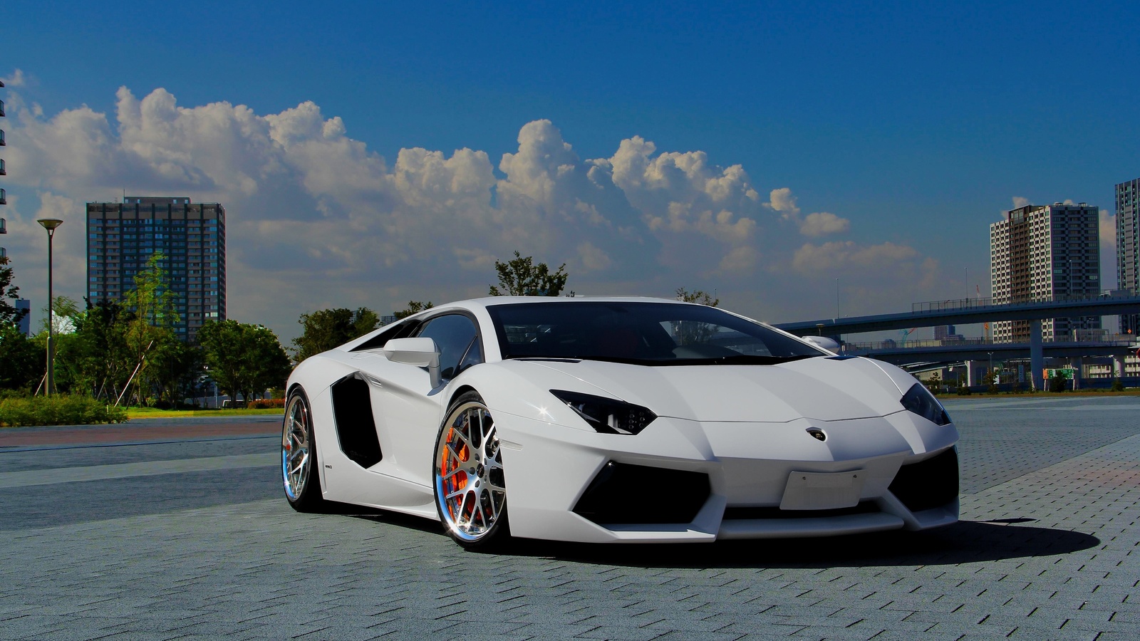 , aventador, white