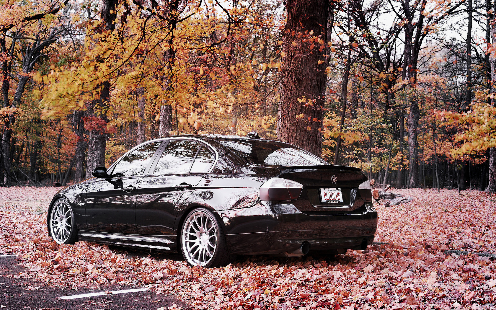 Картинки bmw, 335i, бмв, авто обои, тачки, диски, cars, auto wallpapers,  осень, листья, лес - обои 1680x1050, картинка №105283