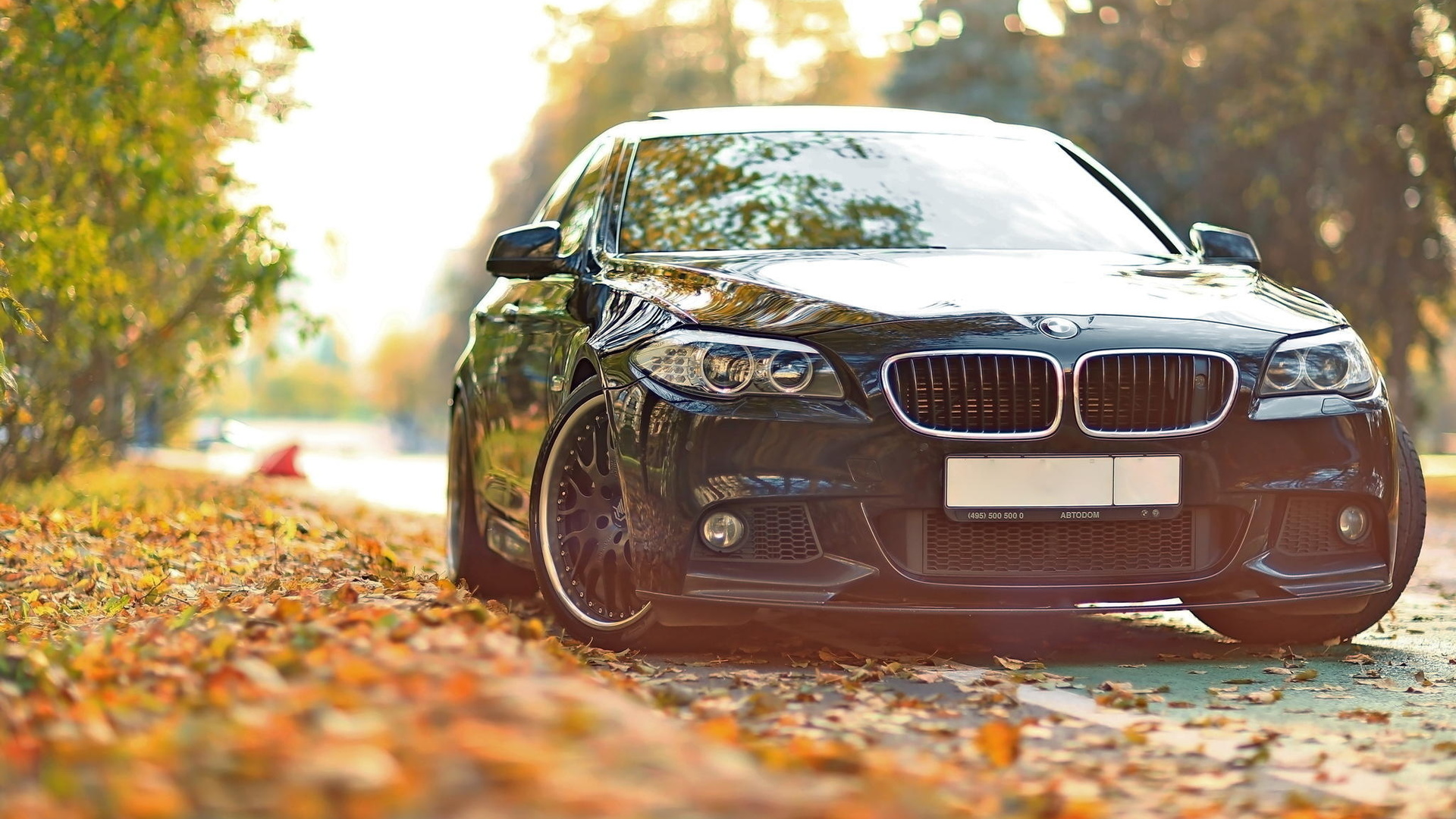 bmw, 550, drive, f10, , , , , 