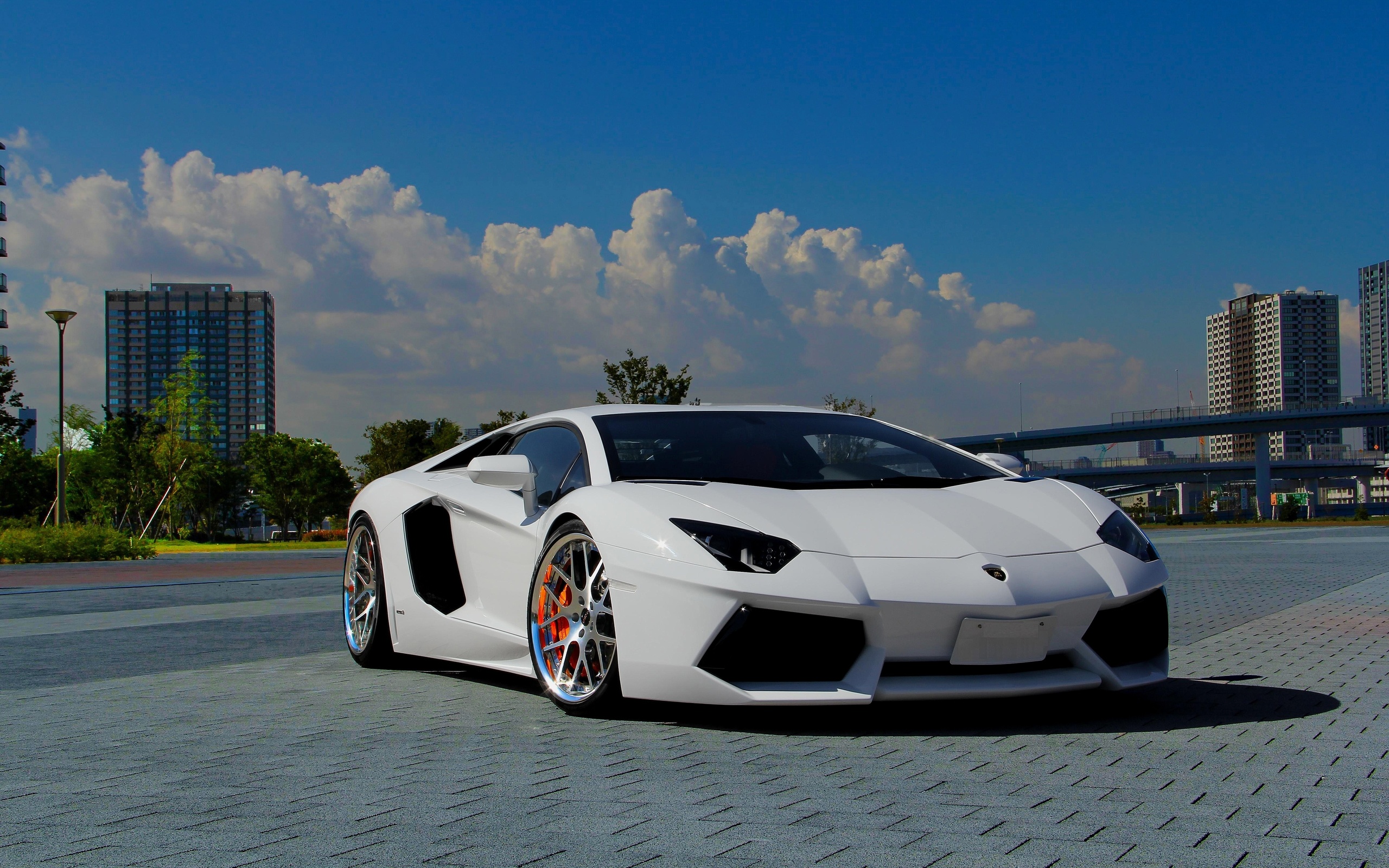 , aventador, white