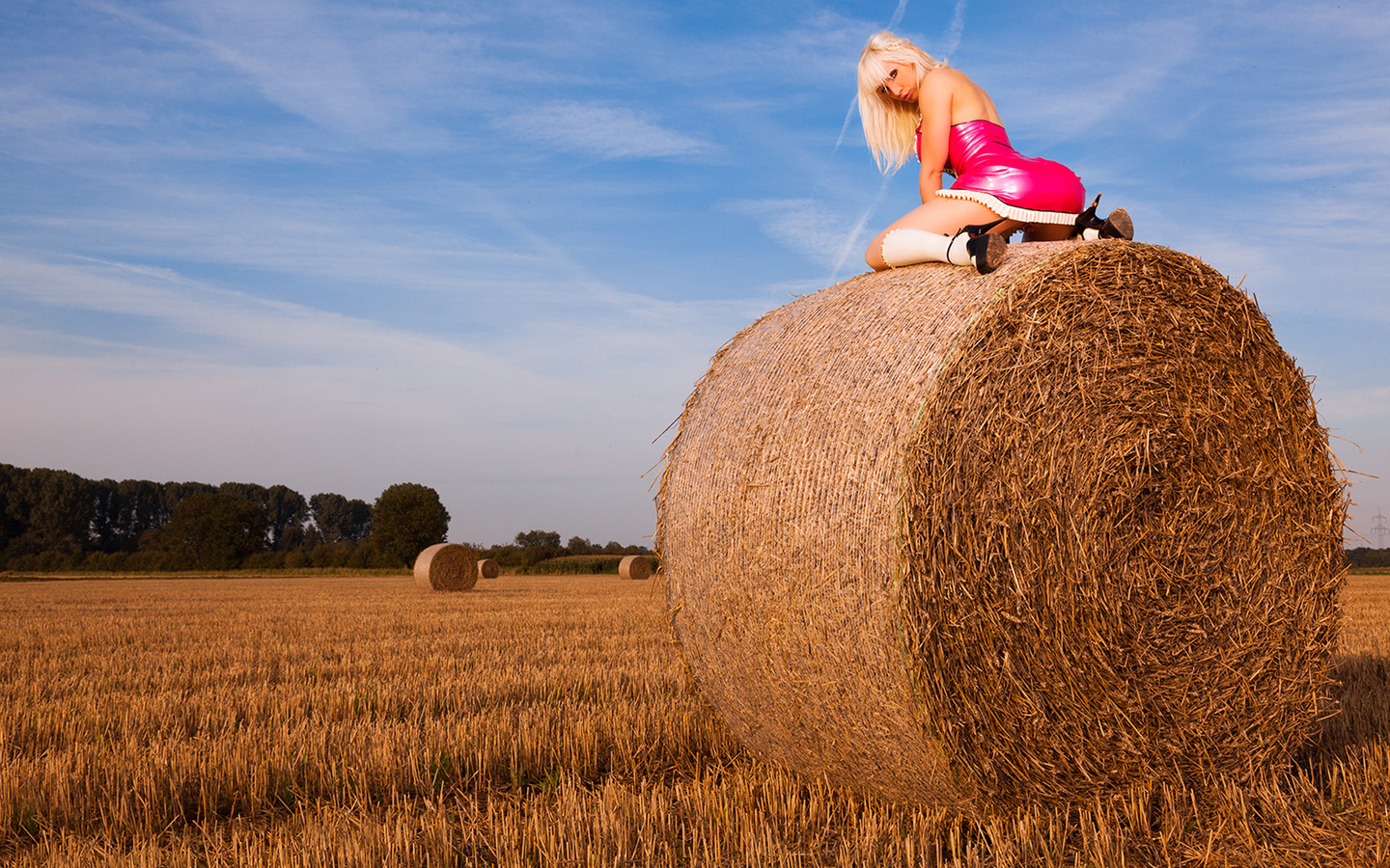 susan wayland, blonde, ass, field, sky, hay, , , , , , 