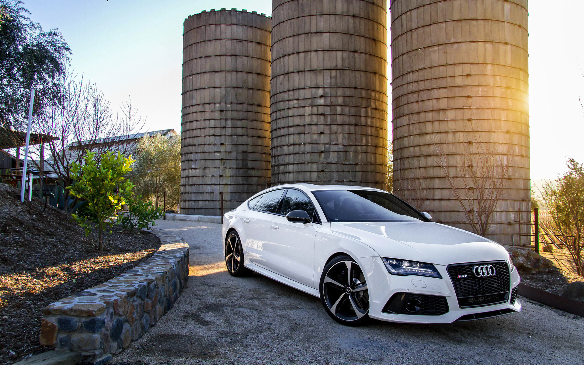 rs7, white, front, , 