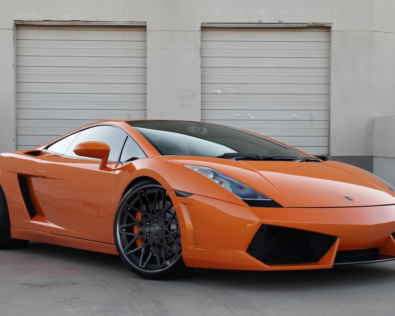 , , , , , lamborghini, gallardo