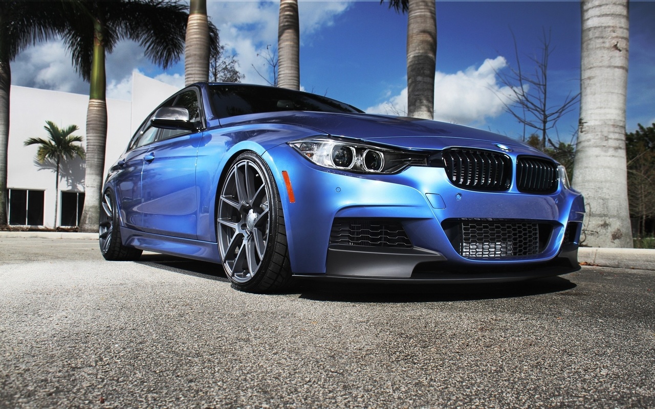 blue, bmw, , 