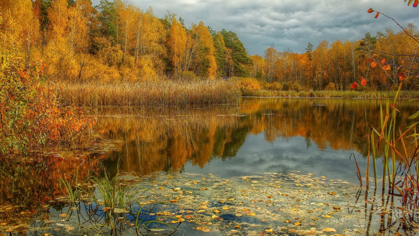 Картинки пасмурно осень