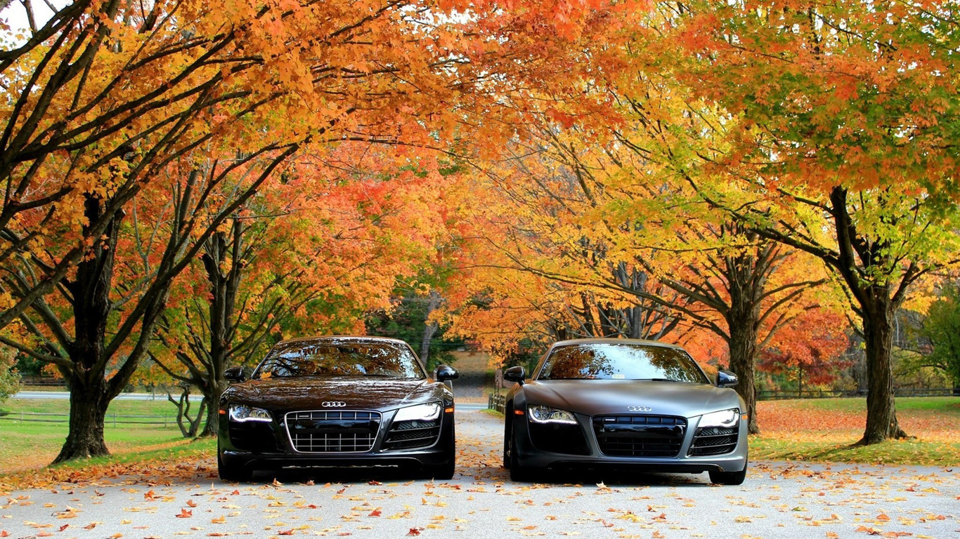 , , , , audi r8 v10