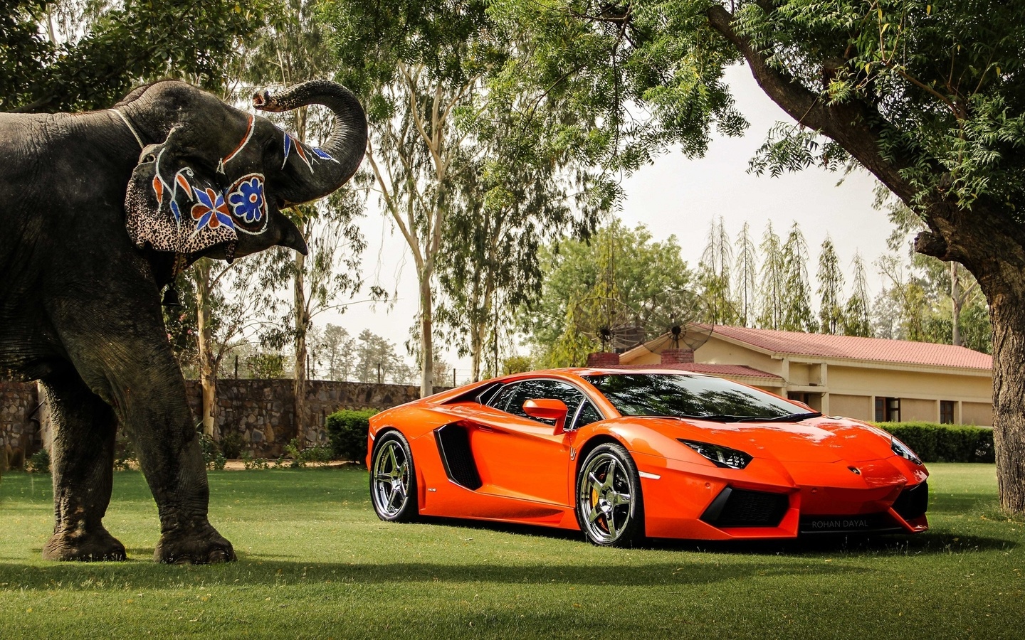 lamborghini, aventador, lp700-4, orange, , , ,  , , , , , 