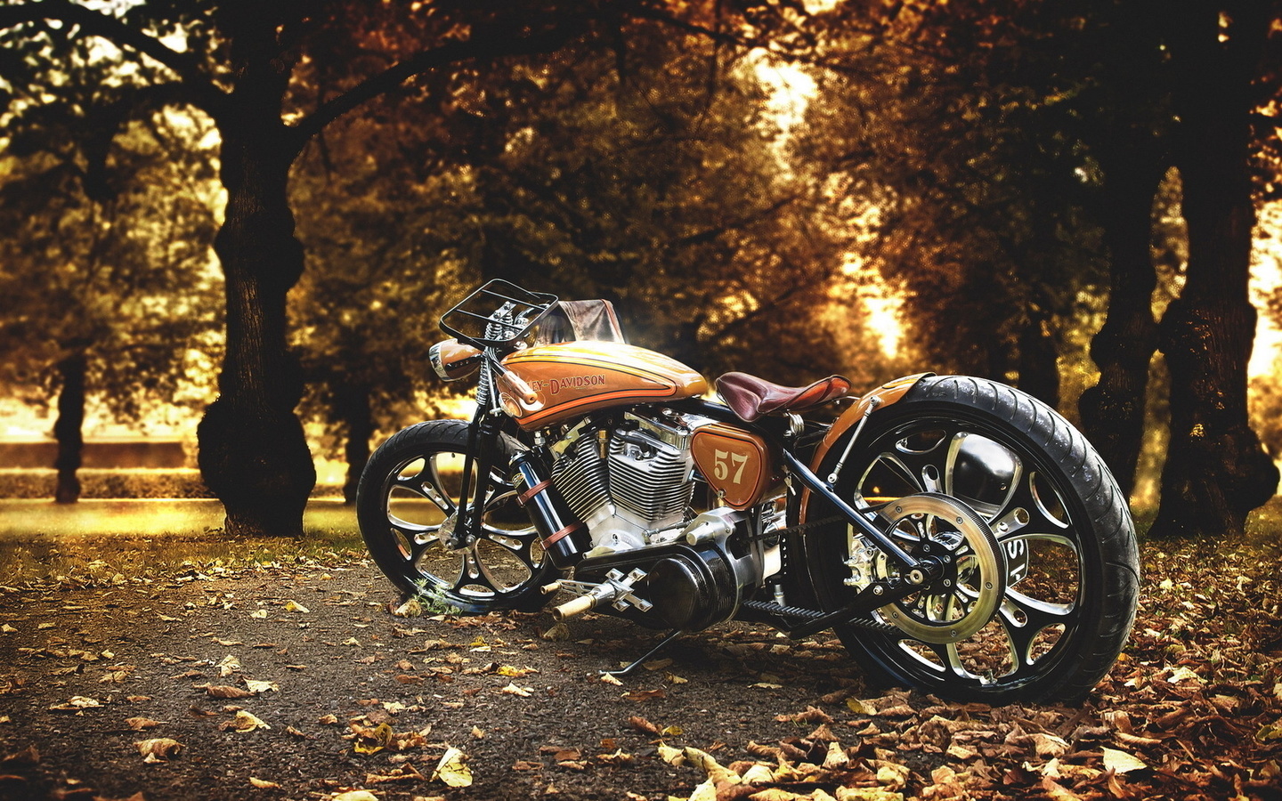 harley-davidson, , , , , , , , , 