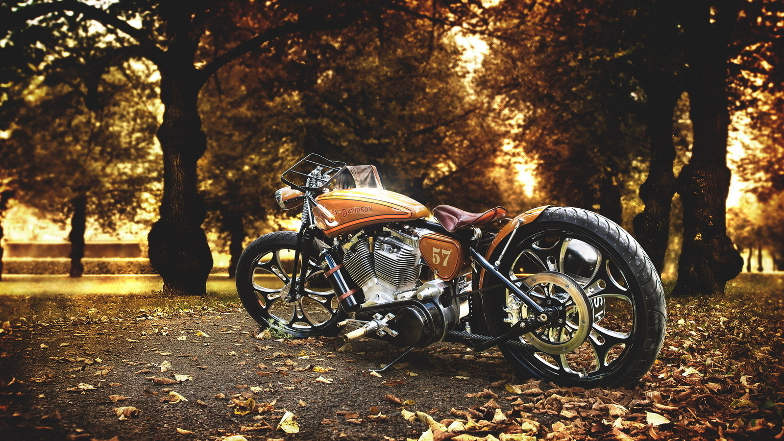 harley-davidson, , , , , , , , , 