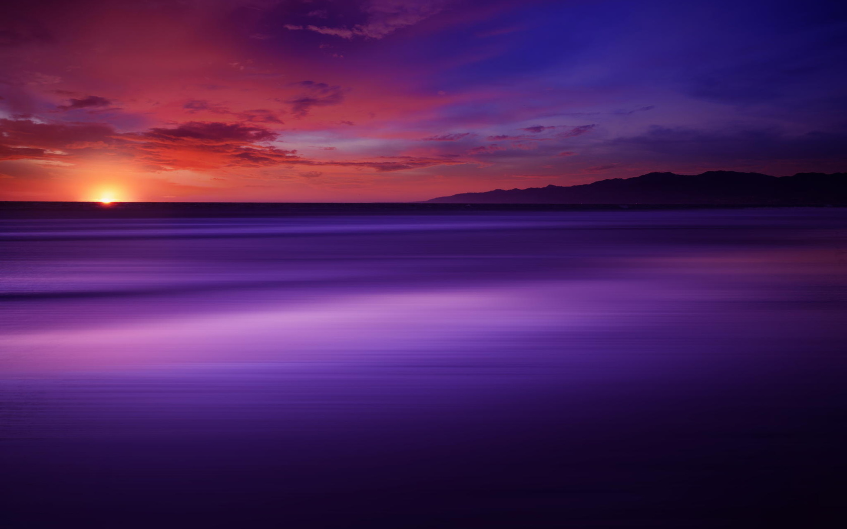 the power of purple,  , california, , ,, 