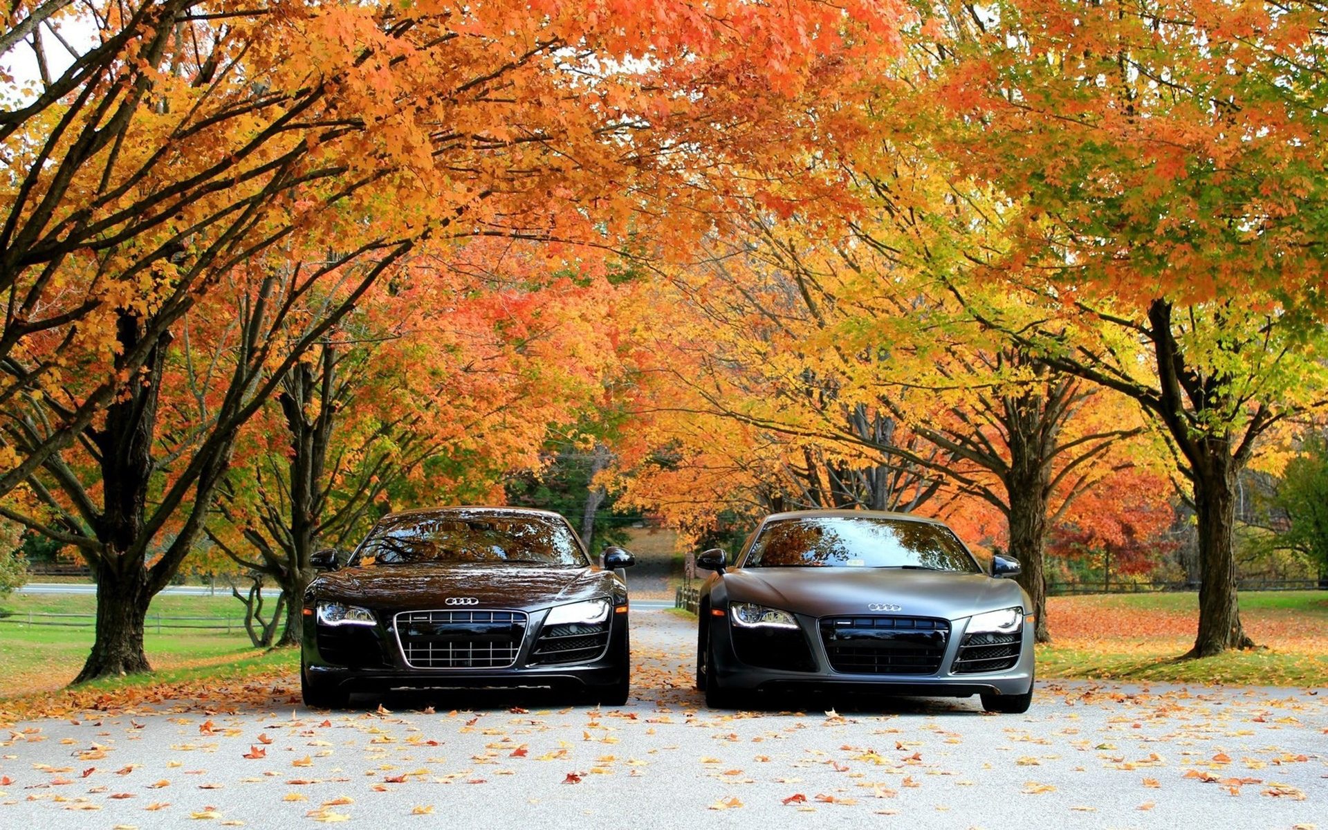 , , , , audi r8 v10