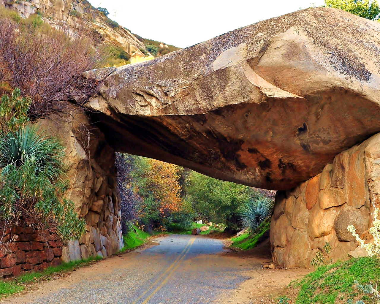 sequoia national park, , , , , 