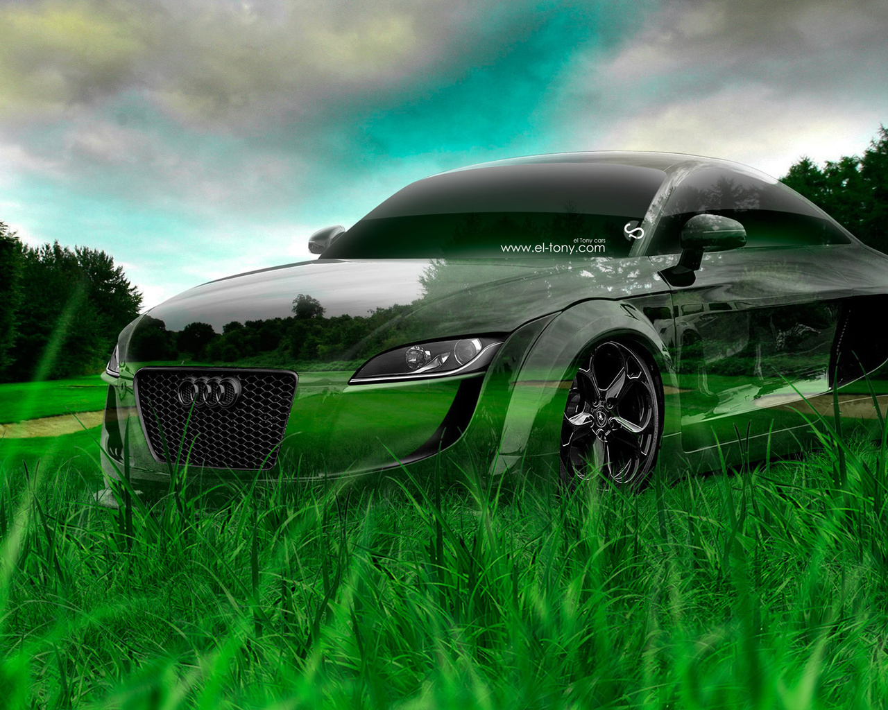 tony kokhan, audi, tt, tuning, crystal, nature, car, green, grass, hd wallpapers, el tony cars, photoshop, design, art,  , , , , , , , , , , , , , , 2014