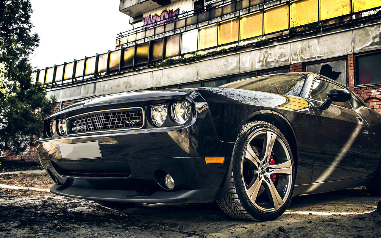 dodge, challenger, car, , , muscle car, 