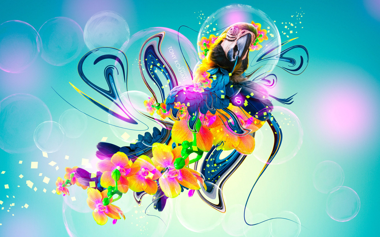 tony kokhan, parrot, flowers, fantasy, multicolors, neon, plastic, fly, bird, el creative, photoshop, hd wallpapers,  , , , , , , , , , , , 2014