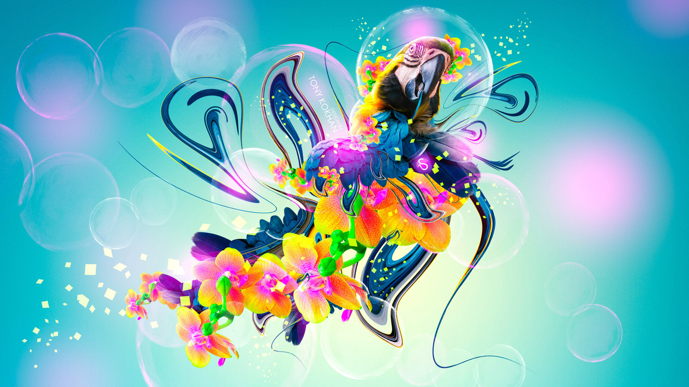 tony kokhan, parrot, flowers, fantasy, multicolors, neon, plastic, fly, bird, el creative, photoshop, hd wallpapers,  , , , , , , , , , , , 2014