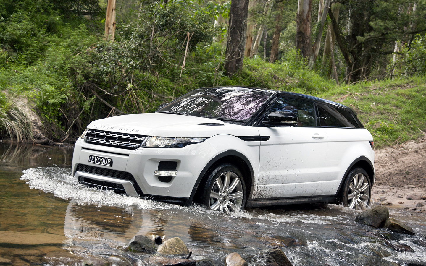 range rover, range rover evoque