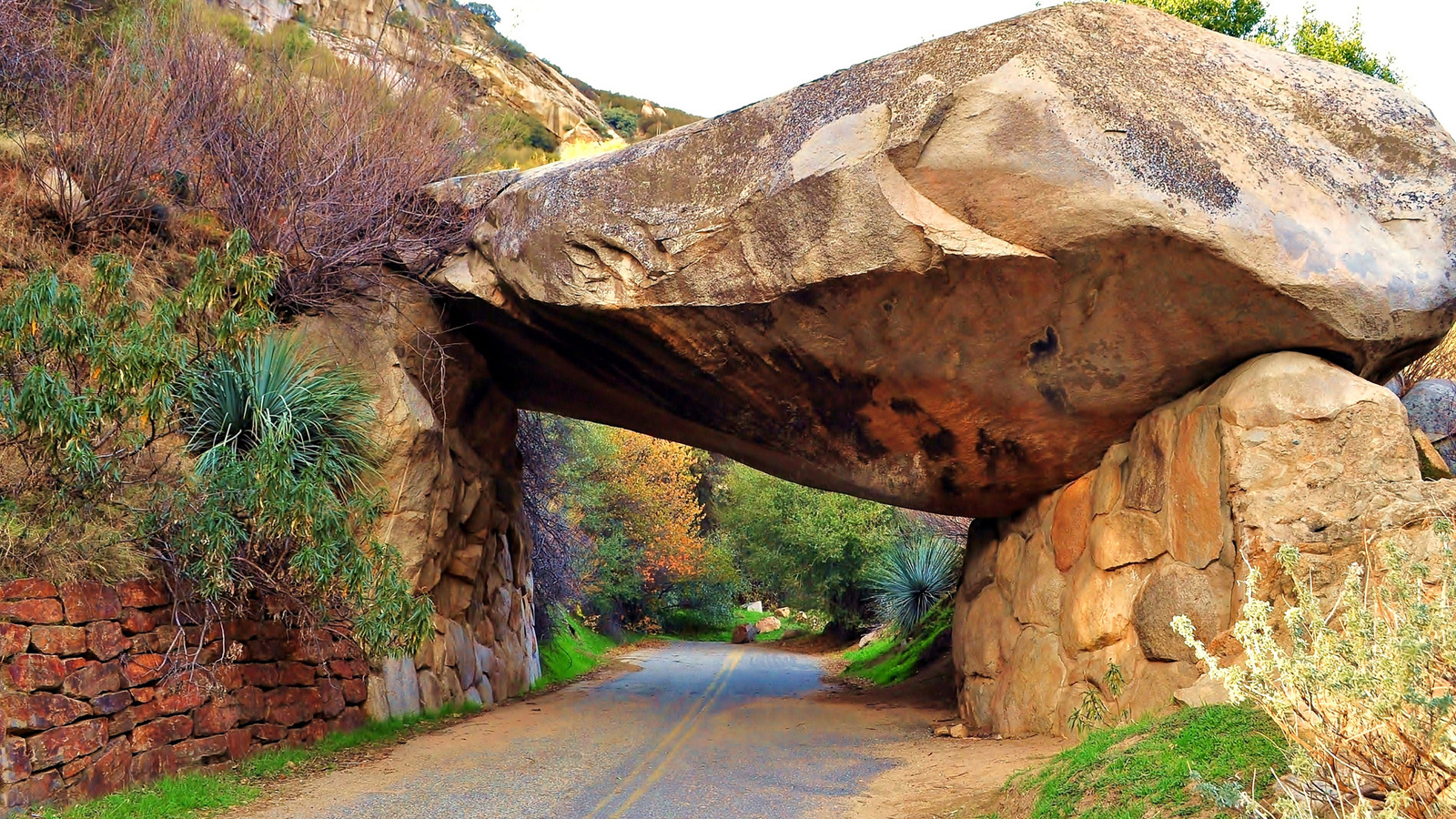 sequoia national park, , , , , 