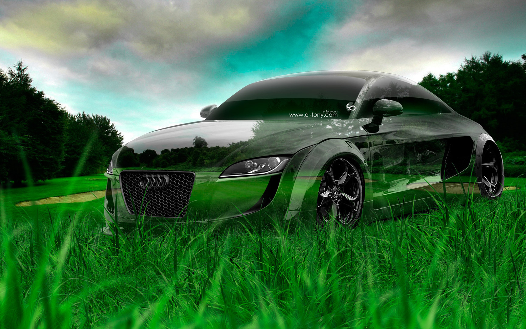 tony kokhan, audi, tt, tuning, crystal, nature, car, green, grass, hd wallpapers, el tony cars, photoshop, design, art,  , , , , , , , , , , , , , , 2014