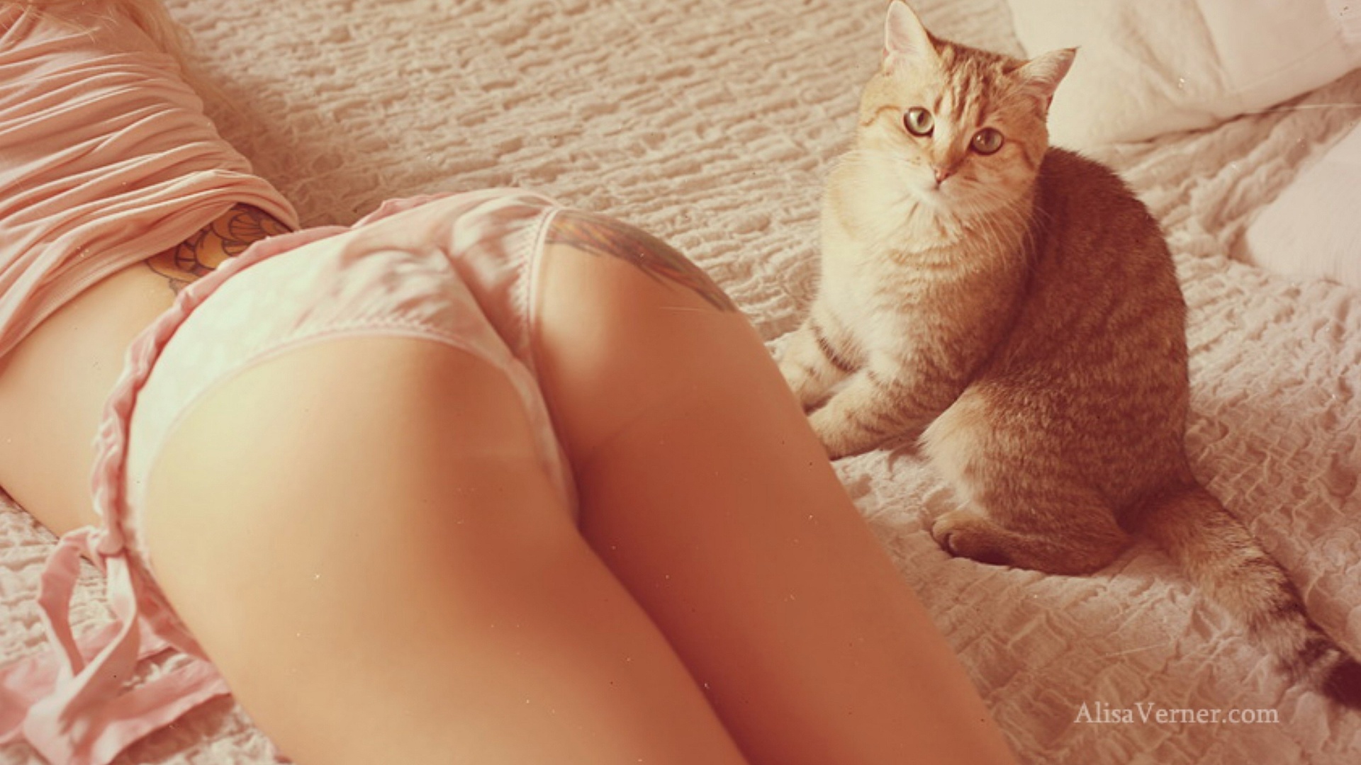 alisa verner, bed, cat, room, lingerie, blonde