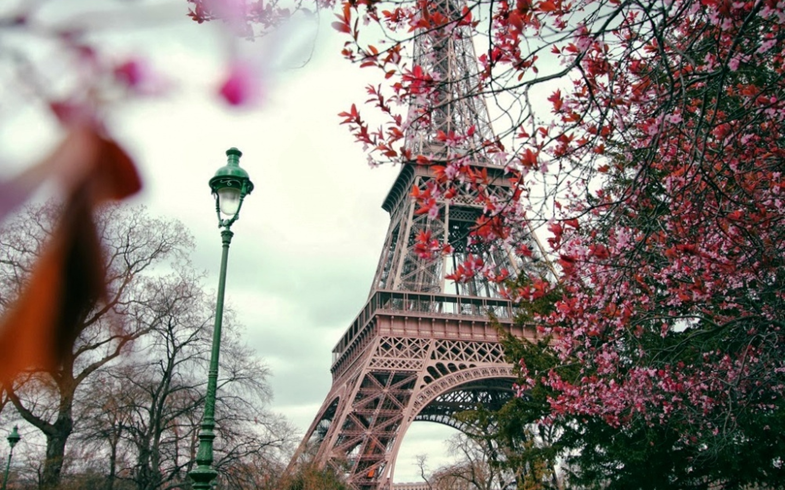 Paris picture. Эйфелева башня Париж Весна. Эйфелева башня Эстетика. Париж башня Эйфелева деревья. Осенний Париж с Эйфелевой башней.