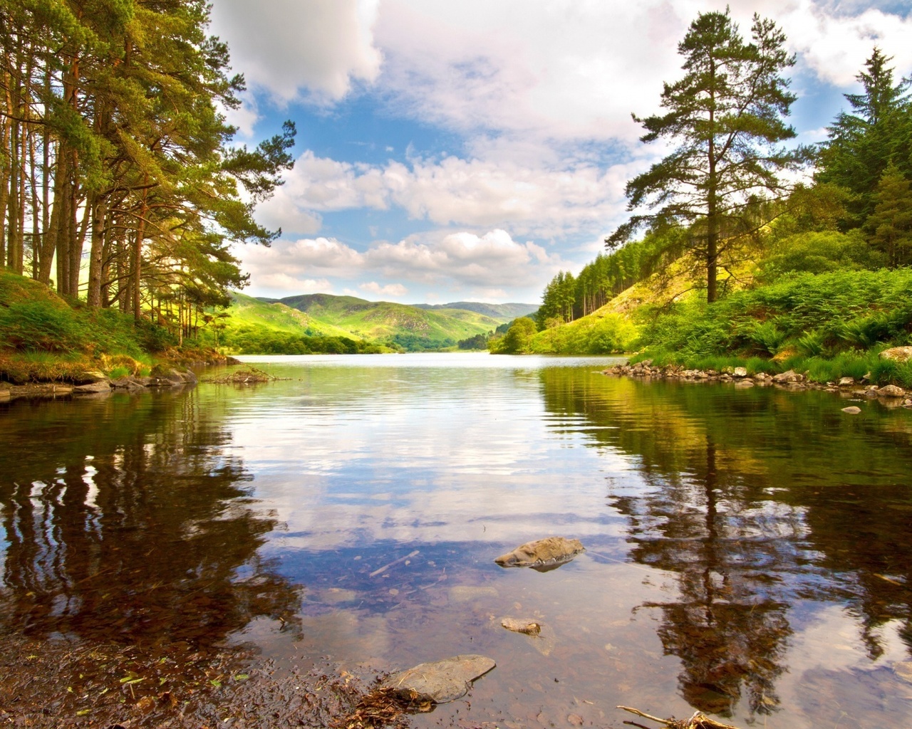 river, tree, water, grass, clouds, sky, green