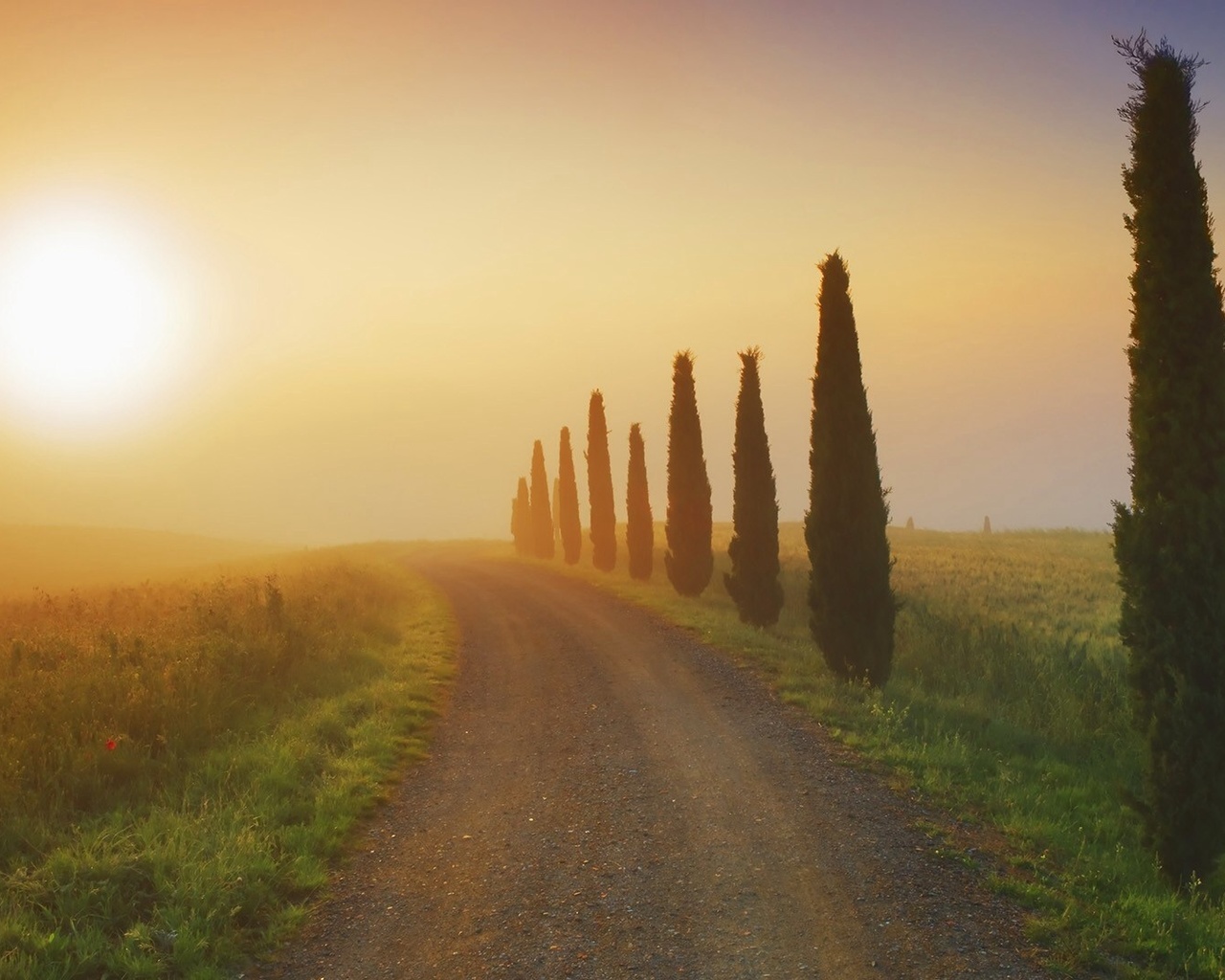 sunrise, fields, river, grass, sun, sky, morning