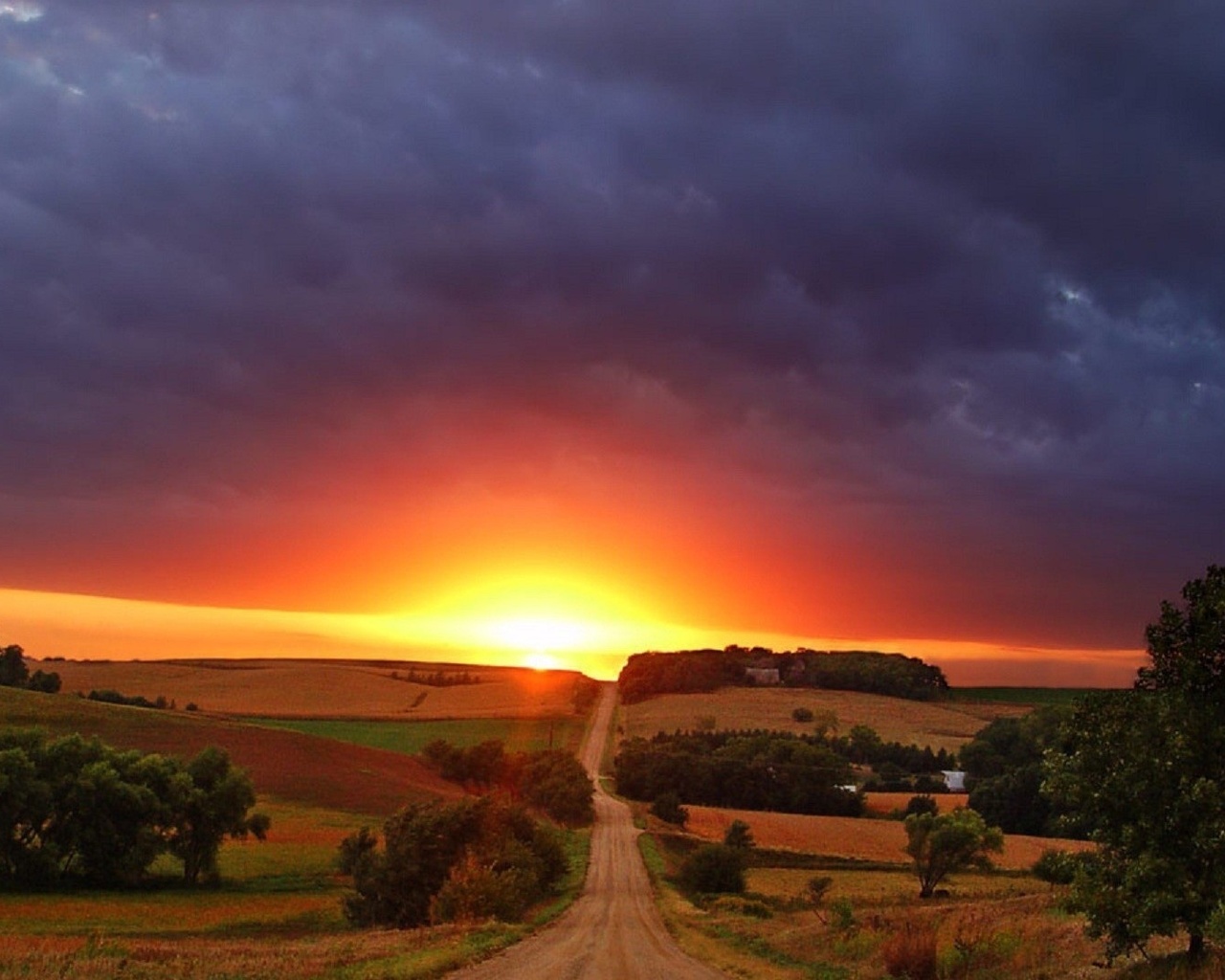 sunrise, fields, river, grass, sun, sky, road