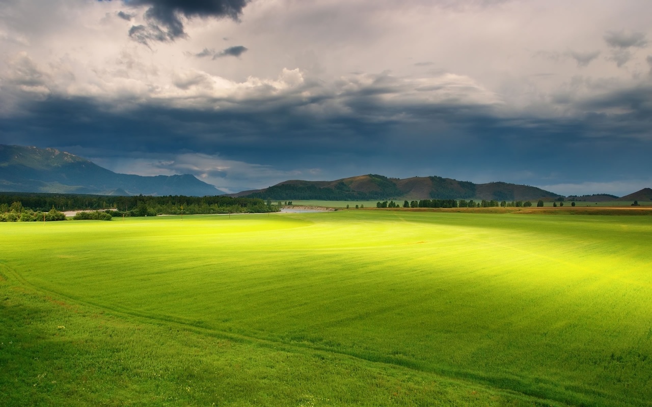 green, field, grass, sky, trees