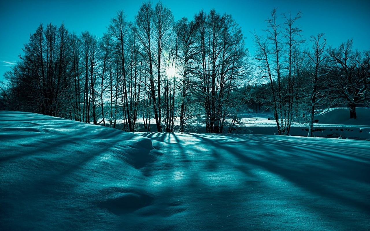 winter, mountain, snow, trees, road, sun, sky, blue