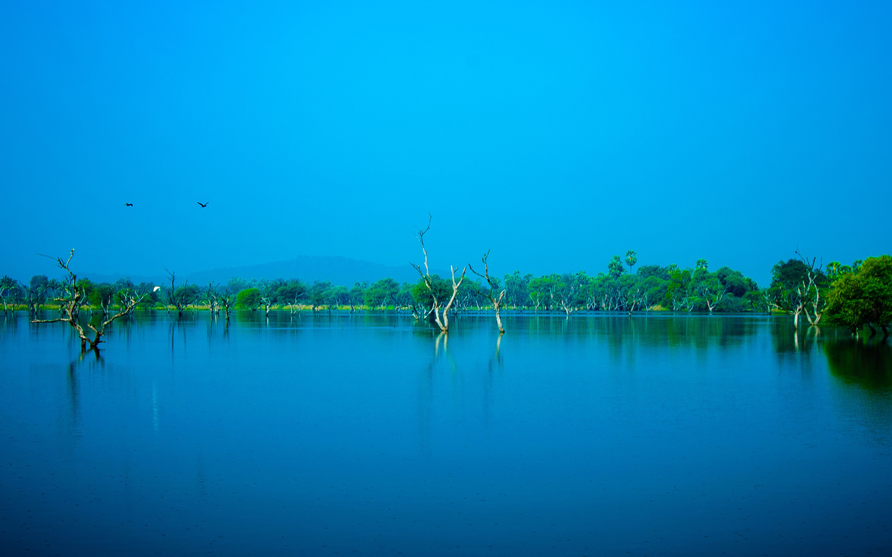 nature, blue, sky, trees, water