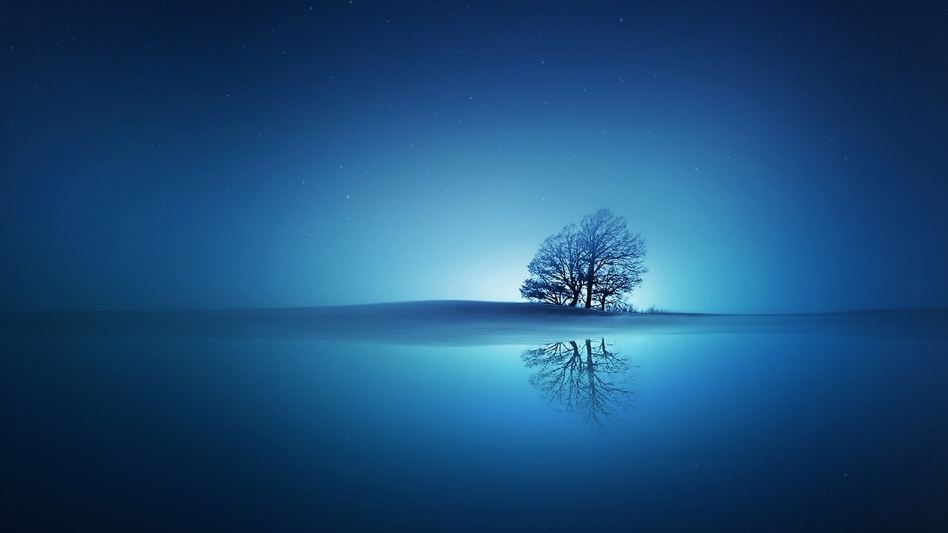 reflection, tree, blue, stars, sky