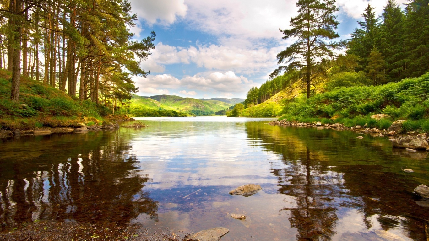 river, tree, water, grass, clouds, sky, green