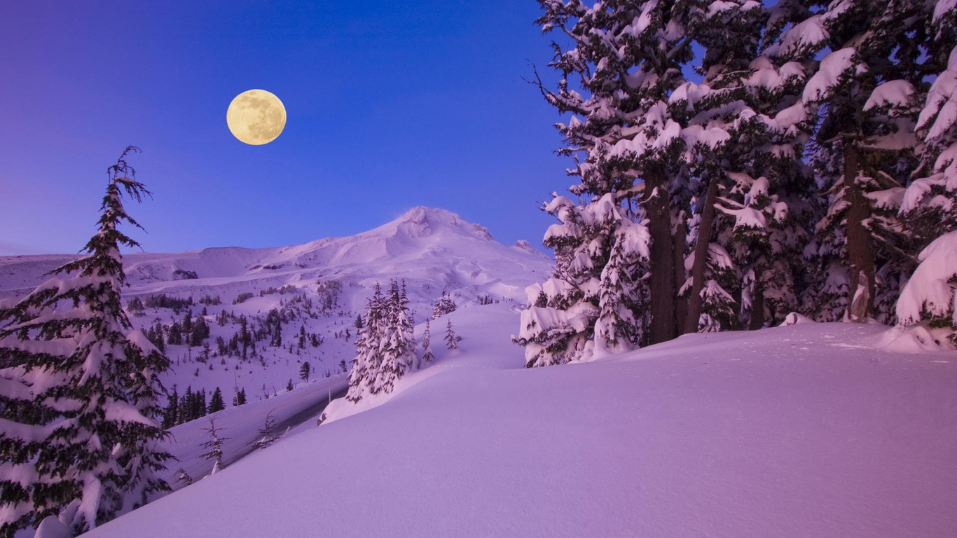 winter, mountain, snow, trees, road, sun, sky, blue