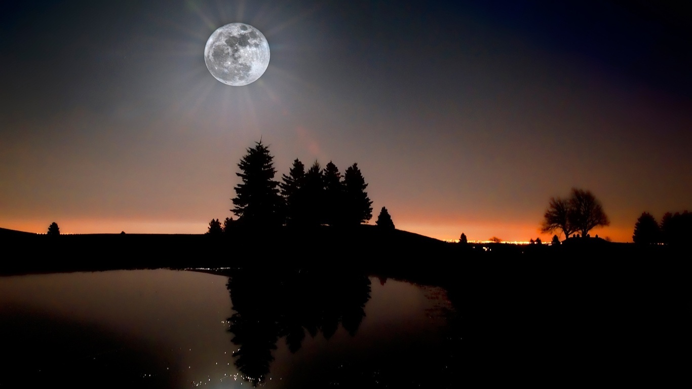 moon, river, reflexion, tree, night, star, sky