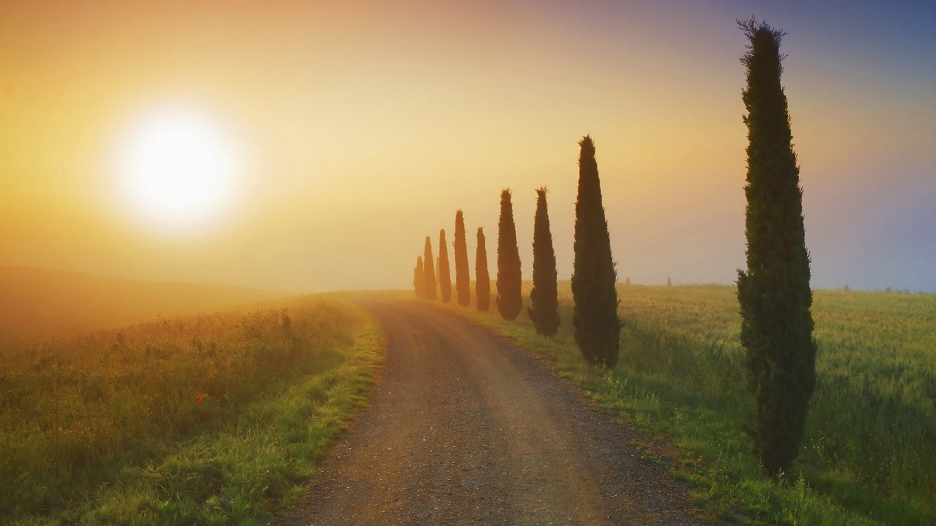 sunrise, fields, river, grass, sun, sky, morning