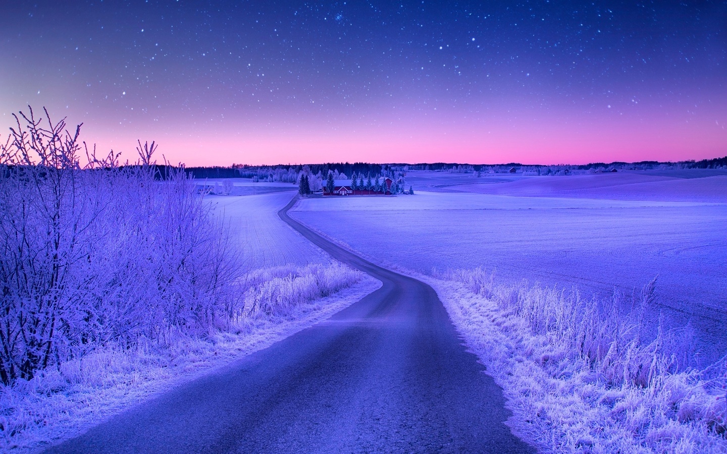 winter, path, snow, road, village, tree