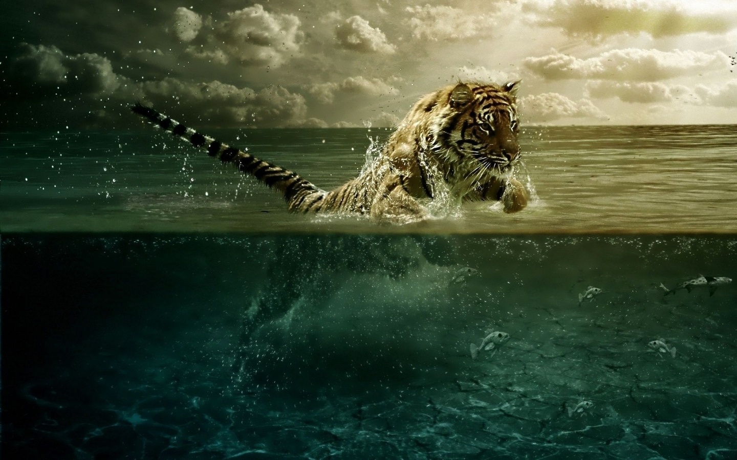 tiger, water, fish, ocean