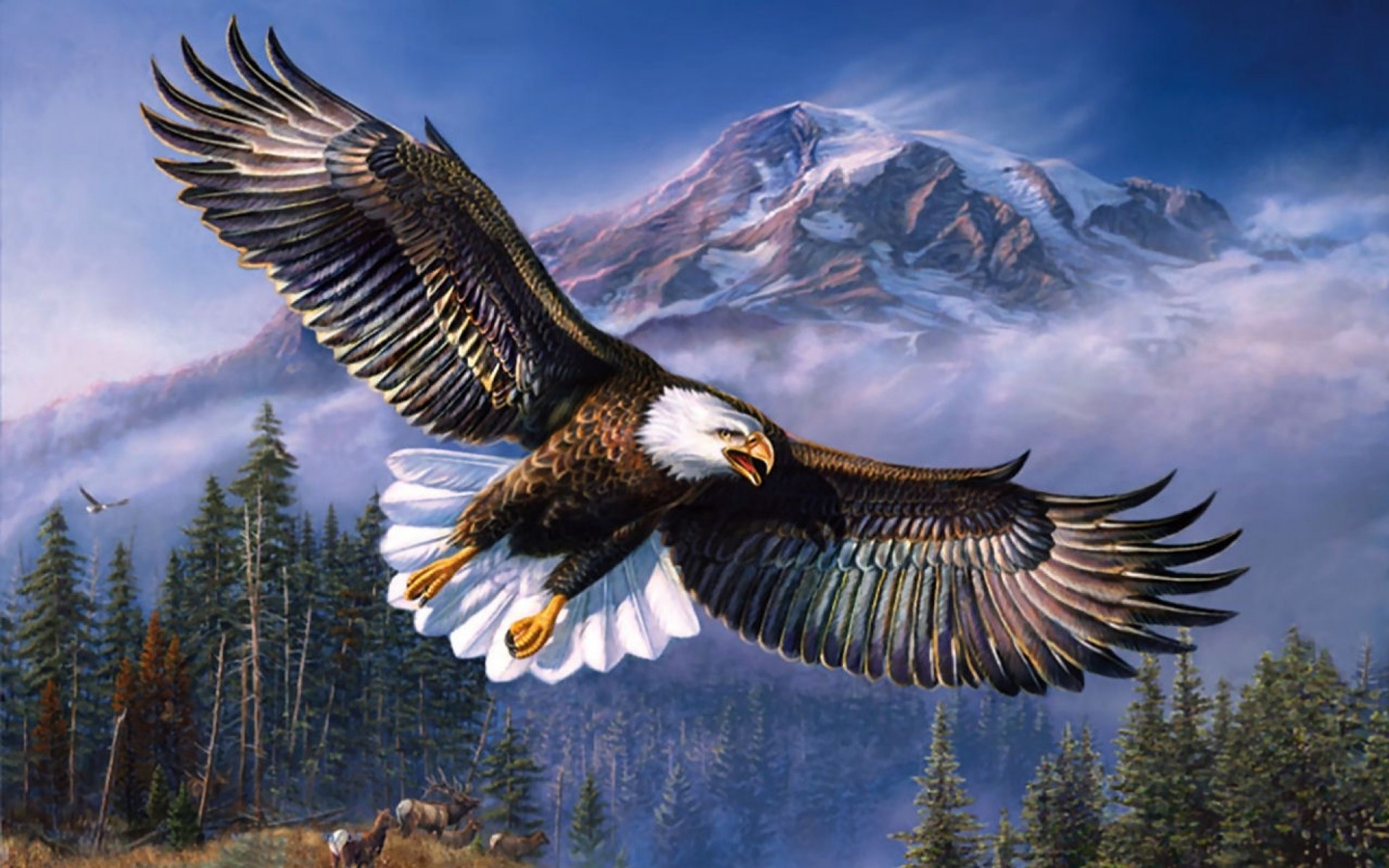 eagle, wind, mountain, wld, sky, bird