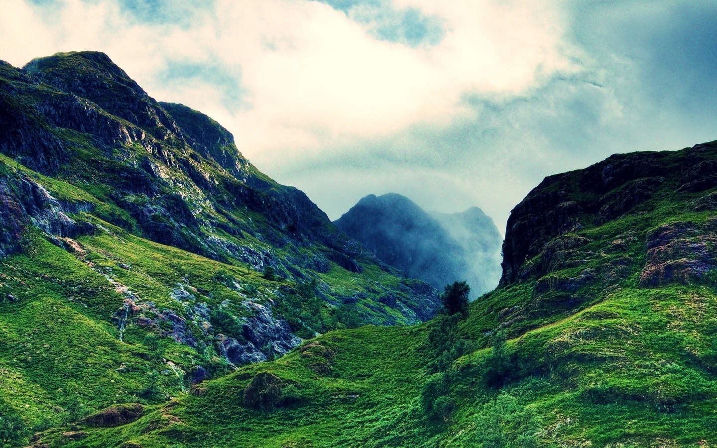 mountain, forest, trees, clouds, sky, green