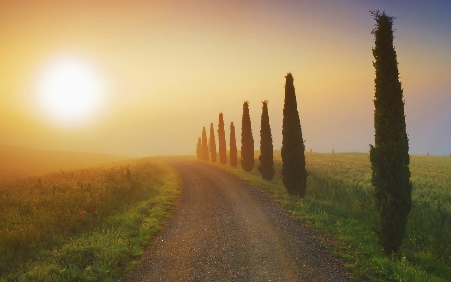 sunrise, fields, river, grass, sun, sky, morning