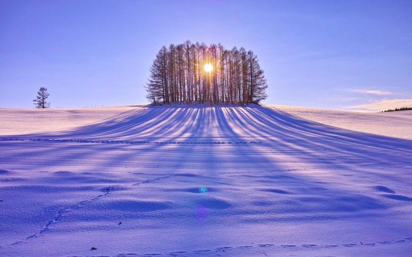 winter, mountain, snow, trees, road, sun, sky, blue