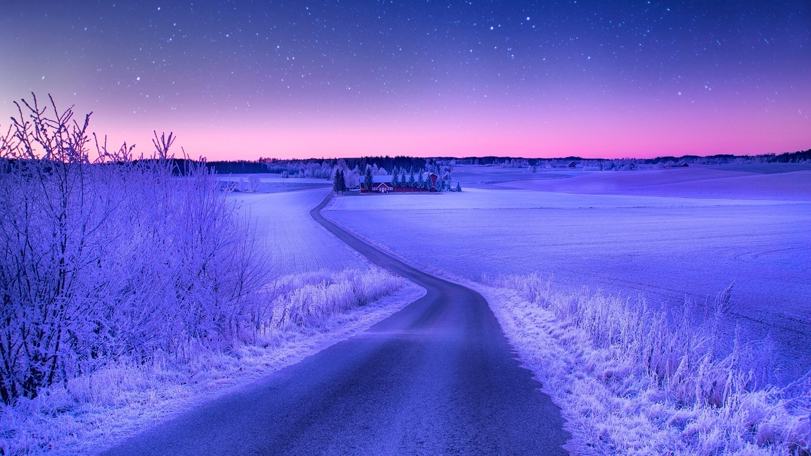 winter, path, snow, road, village, tree