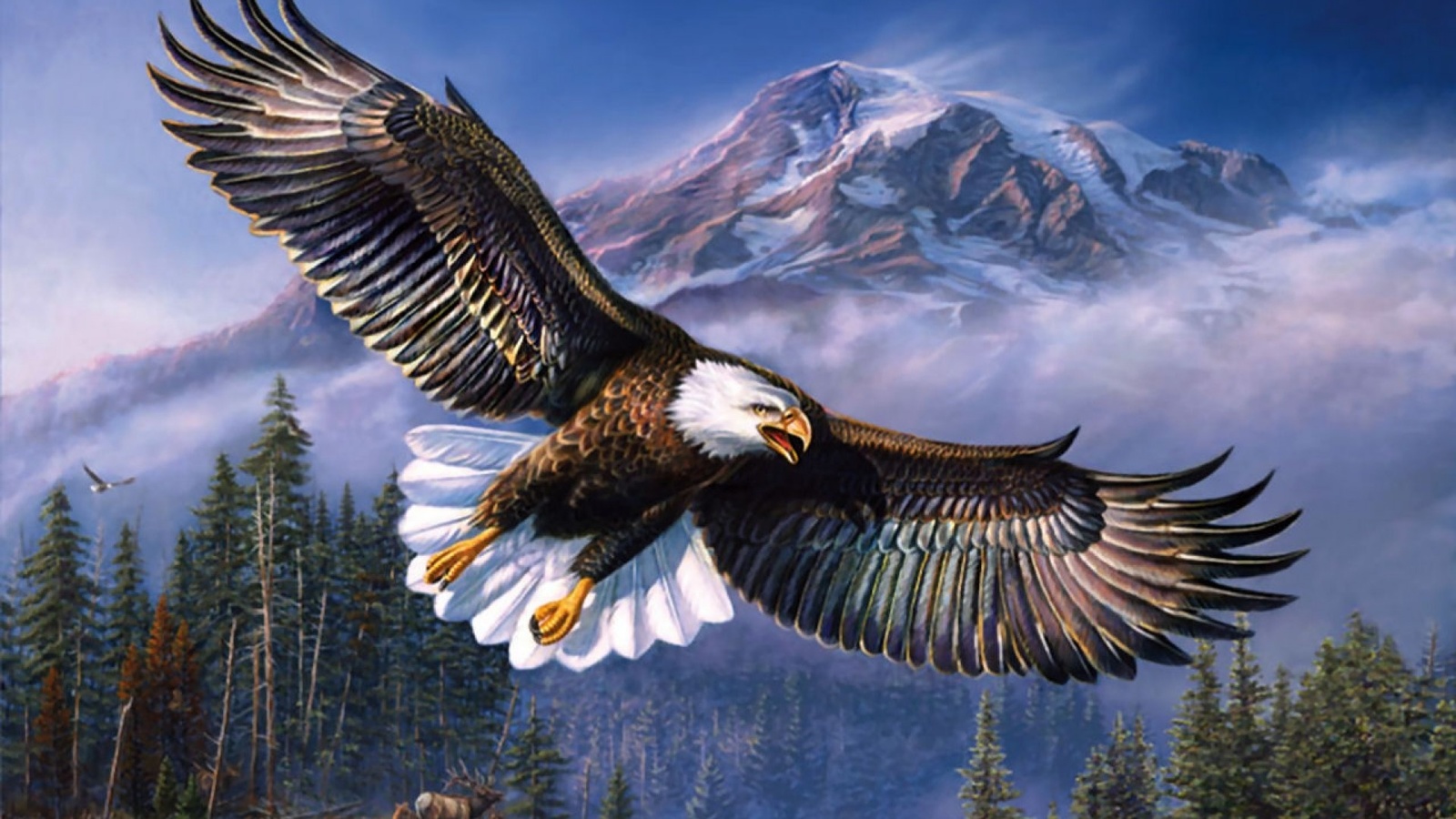 eagle, wind, mountain, wld, sky, bird