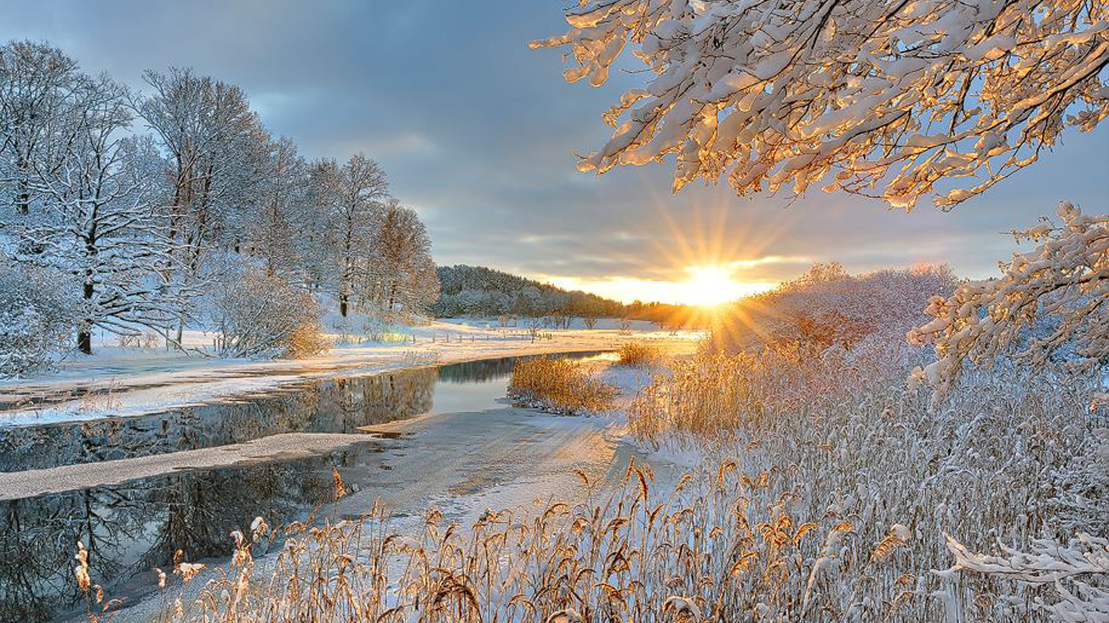 Красивые картинки с раннем утром ранней зимы