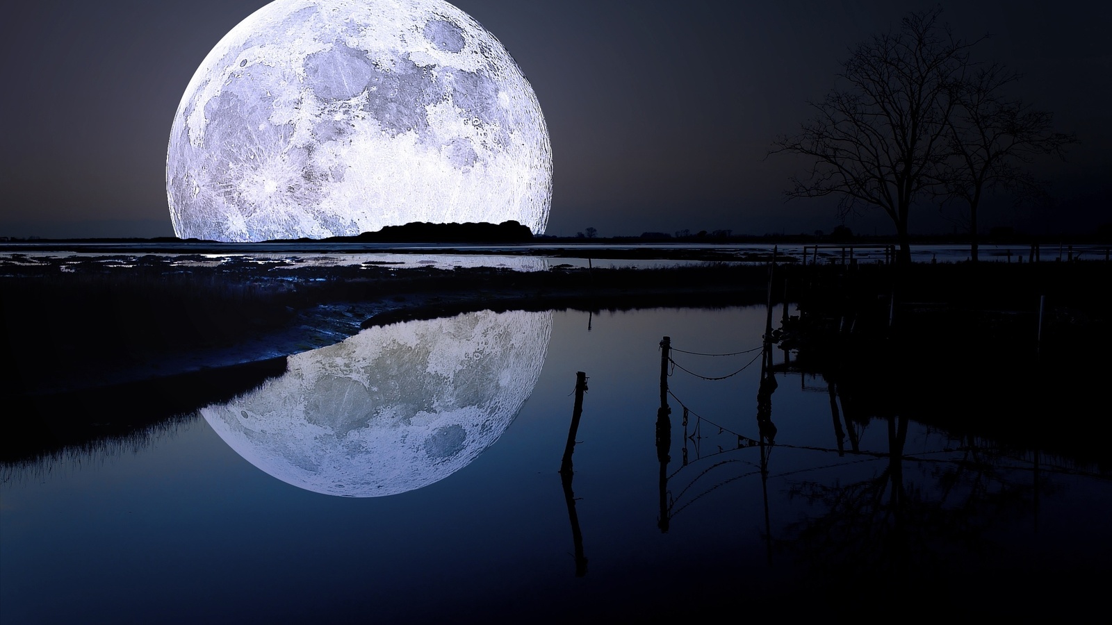 moon, river, reflexion, tree, night, star, sky