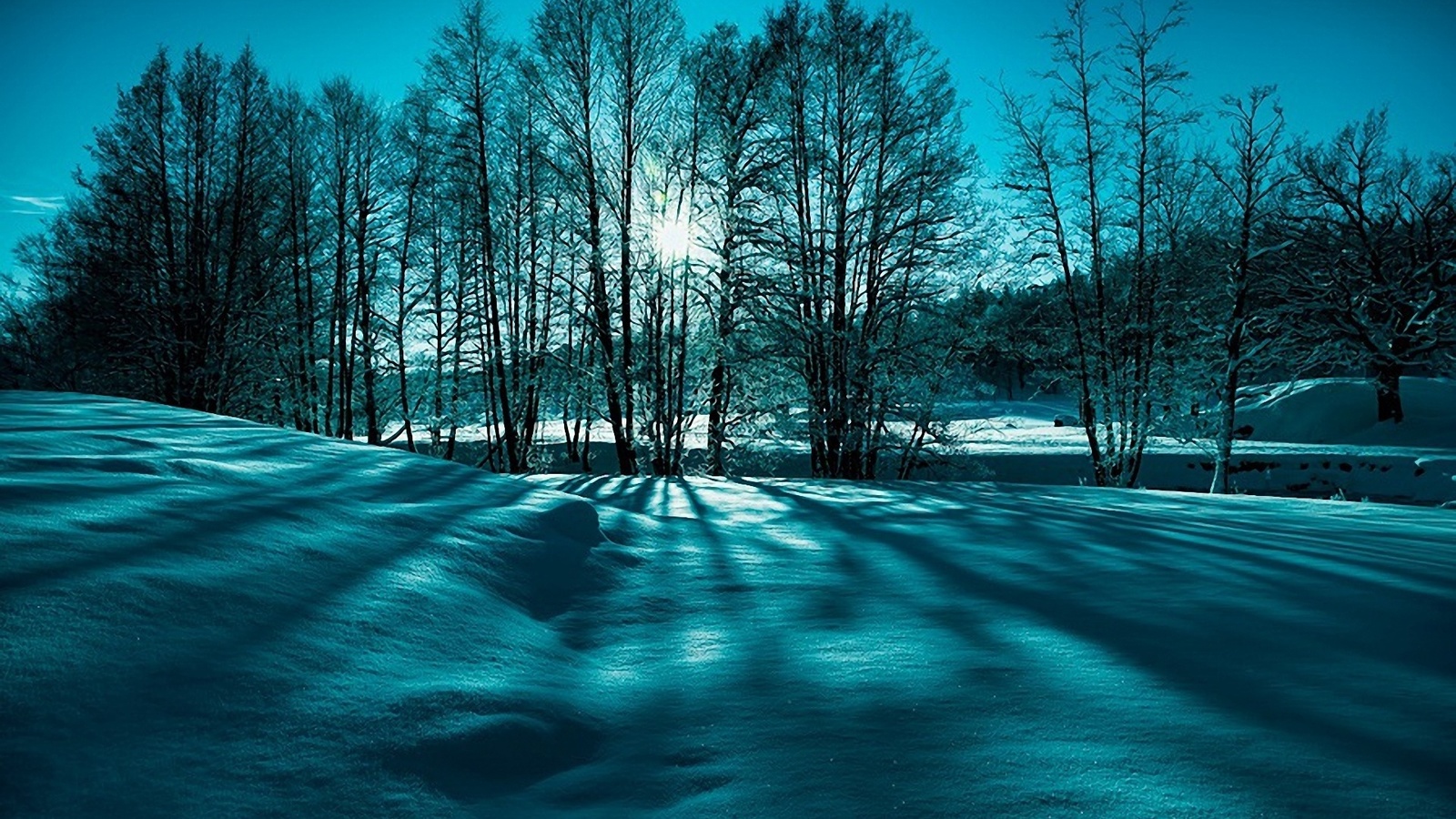 winter, mountain, snow, trees, road, sun, sky, blue